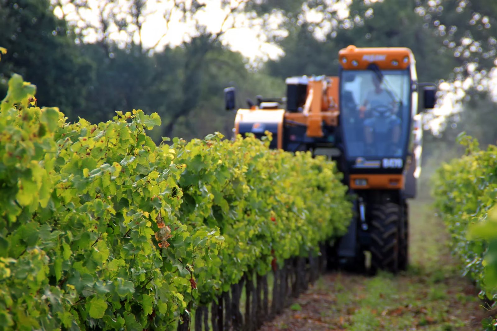 Domaine de Moulines